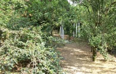 Imagem 3: Porto Alegre - Casa Padrão - Belém Novo