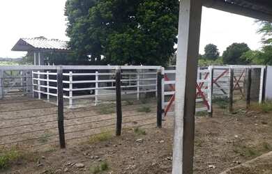 Imagem 14: Excelente Fazenda com 150 hectares em vera cruz estruturada