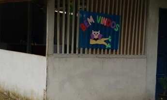 Imagem 4: Terreno em Cotijuba 50.000,00