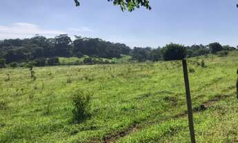 Imagem: Fazenda/Sítio/Chácara para venda com 6
