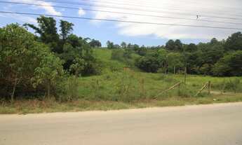 Imagem 3: Terreno - Biguaçu SC