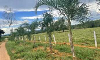 Imagem 4: Fazenda - Itapuranga (GO