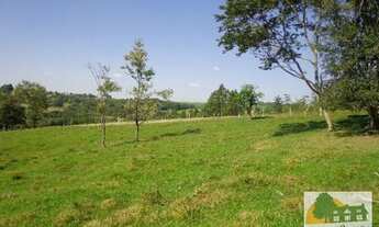 Imagem 3: Sítio para venda com 30.000 m2 em Cesário Lange