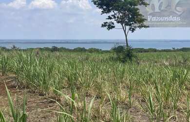 Imagem 7: Fazenda na Região de Presidente Epitácio / SP. 697 alqs