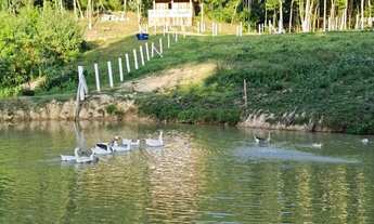 Imagem 4: Pousada/Fazenda para venda com 13000 metros quadrados