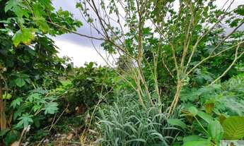 Imagem 5: Terreno em Área Comercial em Camaragibe com 1.160m²>