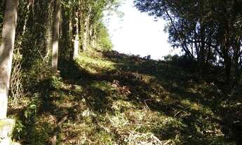 Imagem 2: Terreno residencial à venda