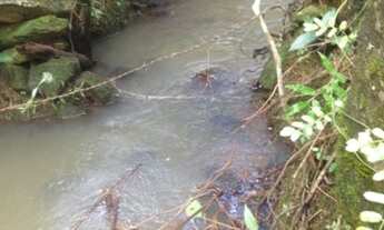 Imagem 3: Vendo terreno Chácara com venda por R$1.600.000