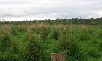 Imagem 5: Fazenda/Sítio/Chácara com 104 hectares próximo a Urucuia - MG