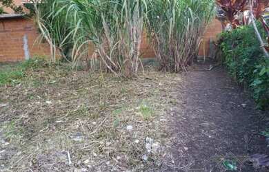 Imagem 4: Terreno- Petrópolis, Bingen