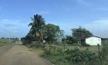 Imagem 6: Área pipa Sibauma plana limpa e com bom potencial de desmembramento