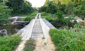 Imagem 4: Excelente Sítio com 150 hectares km 100 sentido Humaitá