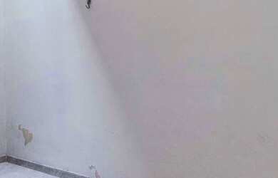 Imagem 5: APARTAMENTO - ACLIMAÇÃO - SP