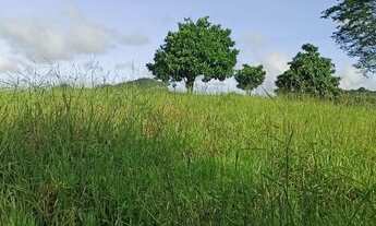 Imagem 2: Vendo terreno em barra de São Francisco