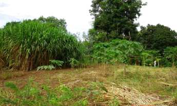 Imagem 7: Excelente Fazenda - Santo Antônio do Descoberto - GO