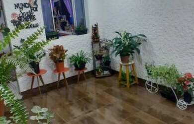 Imagem 3: Casa excelente localizada São Sebastião (parcelamos