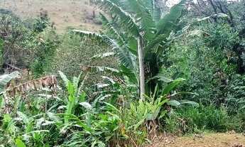 Imagem 4: Lote/Terreno para venda na Fazenda/Fragoso