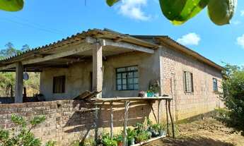 Imagem 3: Sítio 3 alqueires Pasto ( Willian Ricardo