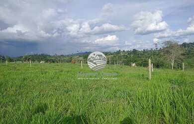 Imagem 6: Machadinho D'Oeste - Sítio - 12.5 Alqueires