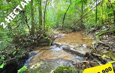 Imagem 5: ÚLTIMA CHÁCARA COM RIACHO DE MORUNGAVA-APROVEITE