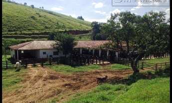 Imagem 3: FAZENDA PORTEIRA FECHADA PRODUZINDO LEITE/CORTE  CUNHA - SP