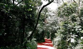 Imagem 7: Exclusivo! Lote/Terreno para venda possui 25462 metros quadrados em Casa Branca - Brumadin