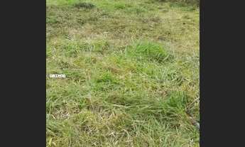 Imagem 5: Terreno para Venda em Florianópolis, Cachoeira do Bom Jesus