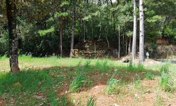 Imagem 6: Terreno, 988 m², à venda por R$ 390.000 Vale das Colinas - Gramado/RS