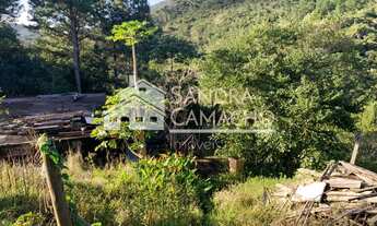 Imagem: Terreno para venda em Ratones