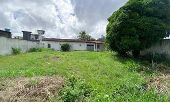 Imagem 2: Área Comercial ou Residencial às margens da BR 367