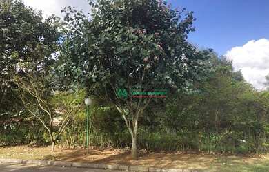 Imagem 5: Terreno residencial à venda, Pinheiros Tênis Village, Cotia