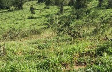 Imagem 2: Vendo terreno Chácara com venda por R$1.600.000