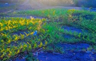 Imagem 6: Vende-se ou troca chácara