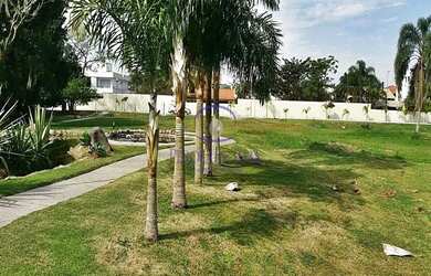 Imagem 4: TERRENO RESIDENCIAL em Florianópolis - SC, Jurerê Internacional