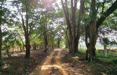 Imagem 2: Sítio à venda em Porto Feliz - SP