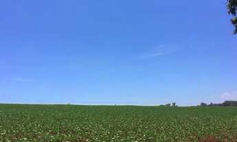 Imagem 5: Fazenda/Sítio/Chácara para venda tem 500 metros quadrados com 4 quartos