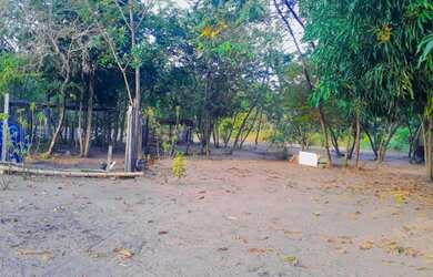 Imagem 3: Vende-se ou troca chácara