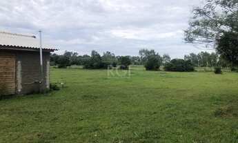 Imagem 2: Porto Alegre - Sítio - Lami