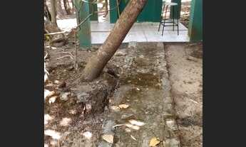 Imagem 6: Vendo Rancho rio Araguaia na cidade de Bandeirante- GO