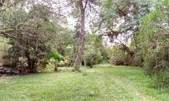 Imagem 7: Porto Alegre - Terreno Padrão - Pedra Redonda