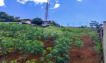 Imagem 2: Vendas Terreno Pato Branco PR