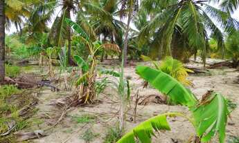 Imagem 3: Vendo um terreno na praia de Caetanos Amontada, de frente da 40 metrôs e de fundo da 60