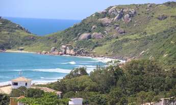 Imagem: PRAIA MOLE