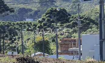 Imagem 2: PIRAQUARA - Terreno Padrão - Volteio