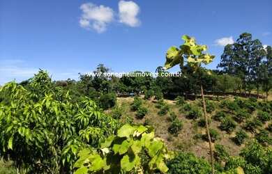 Imagem 3: Área no Xuri com 43.000 (quarenta e três mil metros) a 100 metros da 388 e a 25km do centr