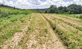 Imagem 7: O/26 * Adquirir uma bela vista em Cotia-SP