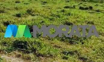 Imagem 3: CONCEIçãO DO PARá - Fazenda - Zona Rural