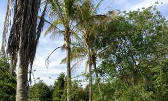 Imagem 5: SÍTIO MARAVILHOSO OPORTUNIDADE ÚNICA KM 68,5