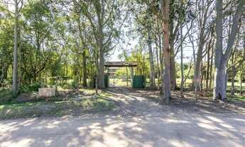 Imagem 2: Porto Alegre - Sítio - Lami