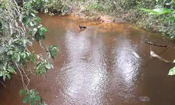 Imagem 6: Fazenda para Venda em Nova Marilândia, zona Rural, 2 dormitórios, 1 suíte, 2 banheiros
